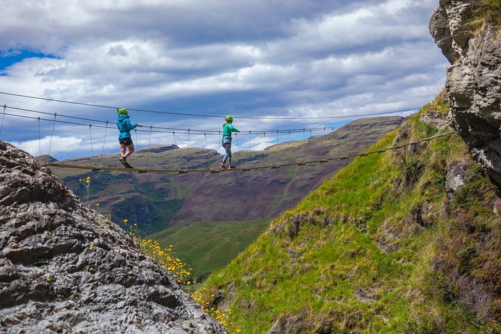 Wildwire Wanaka- Level 1 (2 Hours)