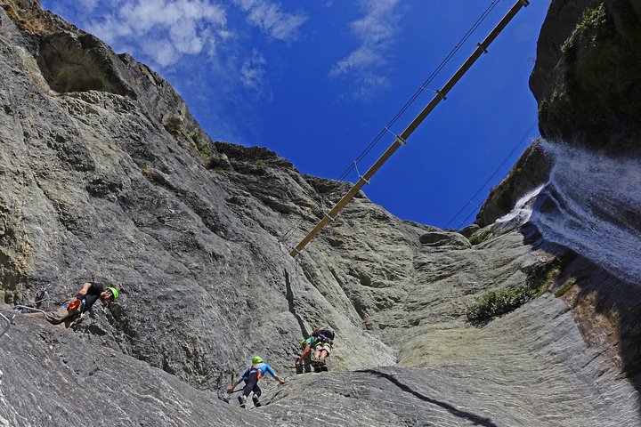 Wildwire Wanaka- Level 2 (4 Hours)
