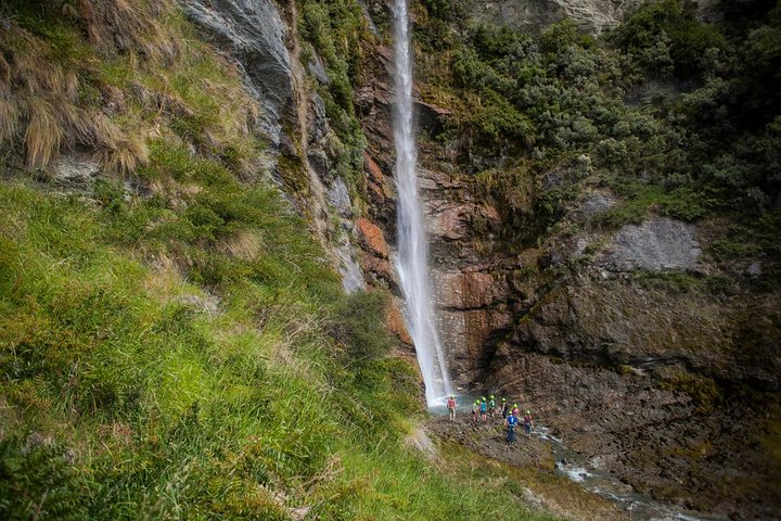 Wildwire Wanaka- Level 2 (4 Hours)
