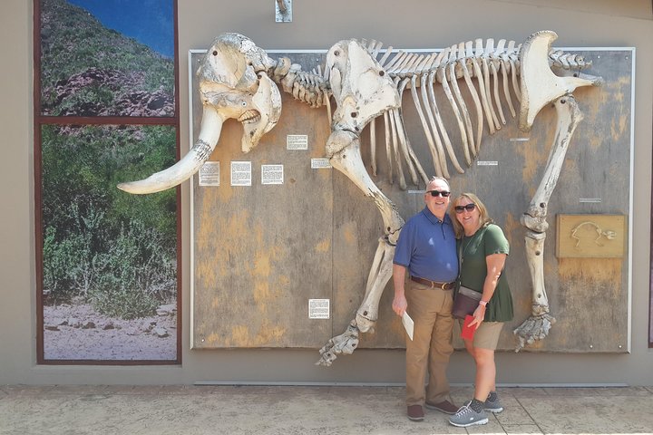 Addo Elephant National Park Tours from Port Elizabeth