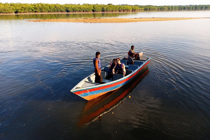 Bintan Mangrove Discovery Tour
