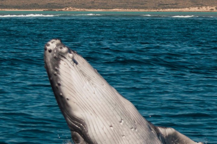 VIP luxury chartered escapes, exploring the reef at your own pace