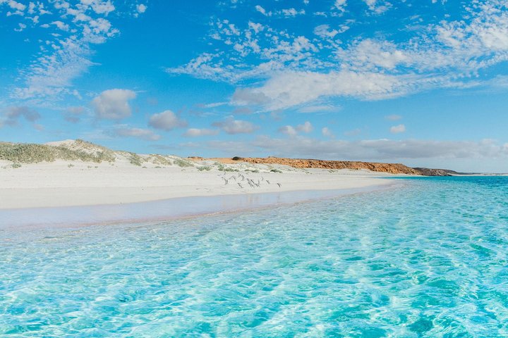 VIP luxury chartered escapes, exploring the reef at your own pace
