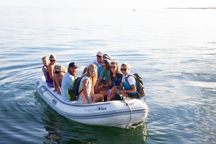 VIP luxury chartered escapes, exploring the reef at your own pace