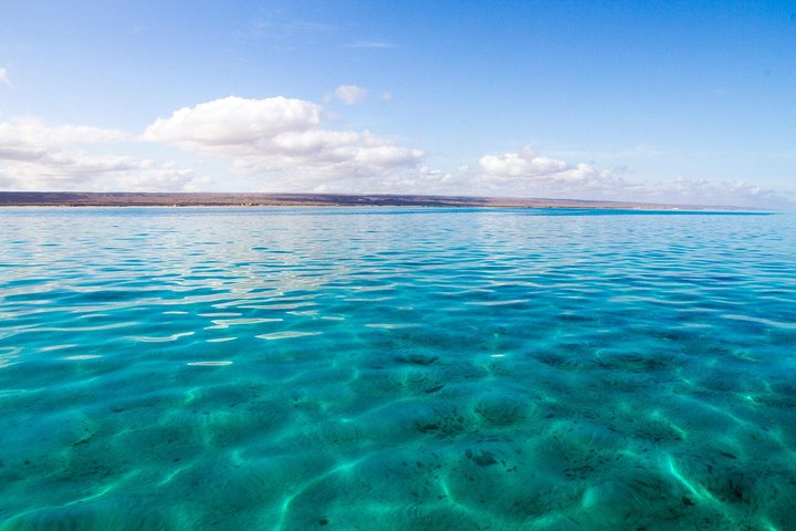 VIP luxury chartered escapes, exploring the reef at your own pace