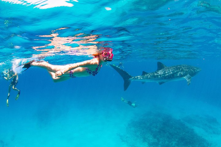 VIP luxury chartered escapes, exploring the reef at your own pace