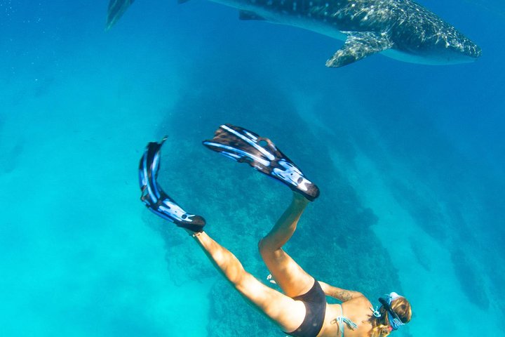 VIP luxury chartered escapes, exploring the reef at your own pace