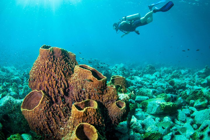 Scuba Diving Day Trip at Koh Chang – 2 Dives