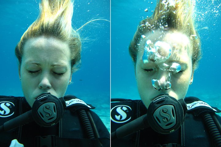 Padi open water diver course, become a diver in 3 days