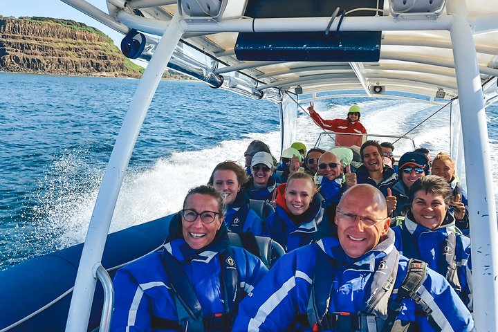 Premier Whale Watching Byron Bay