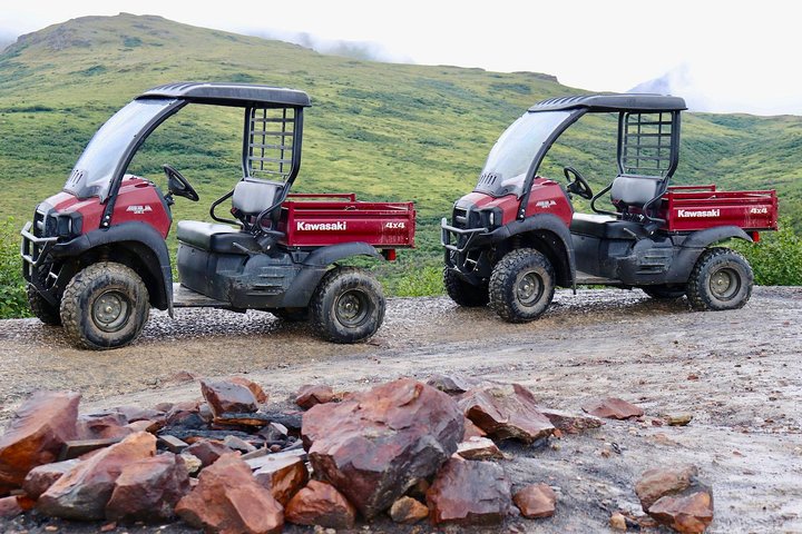 Alaskan Back Country Side by Side ATV Adventure with Meal