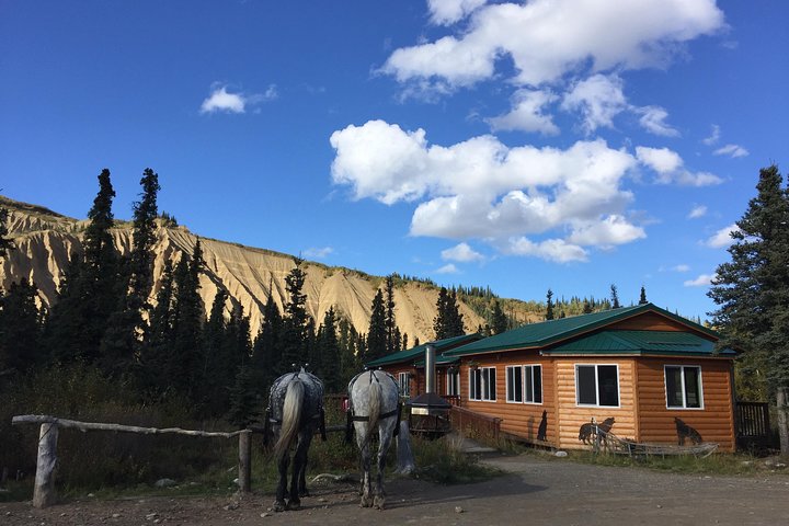 Horse-Drawn Covered Wagon Ride with Backcountry Dining