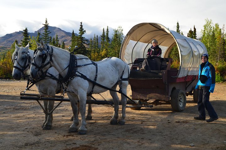 Horse-Drawn Covered Wagon Ride with Backcountry Dining
