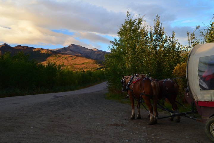 Horse-Drawn Covered Wagon Ride with Backcountry Dining