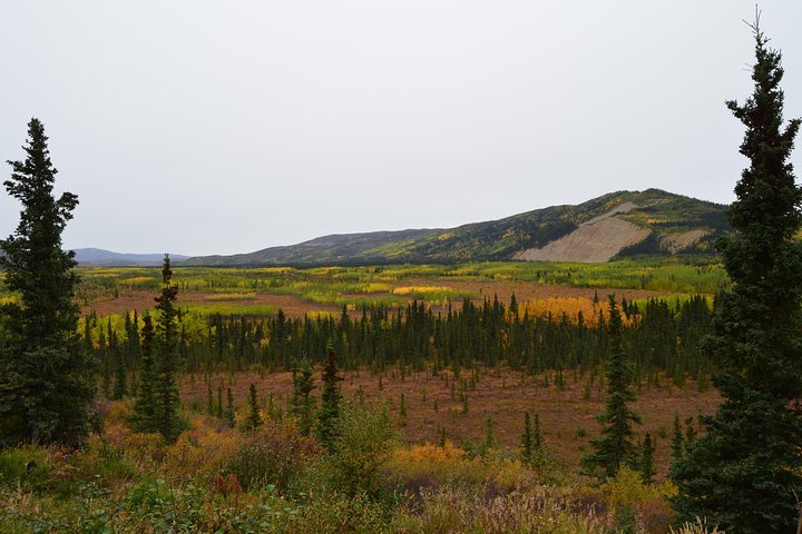 Classic ATV Adventure with Back Country Dining