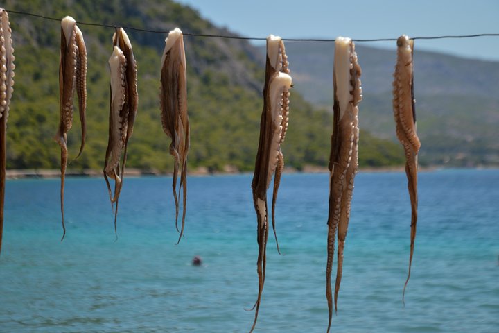 Explore Loutraki & Lake Vouliagmeni: Nature and Relaxation
