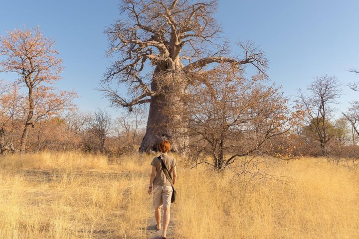 2 Days In Ruaha National Park.