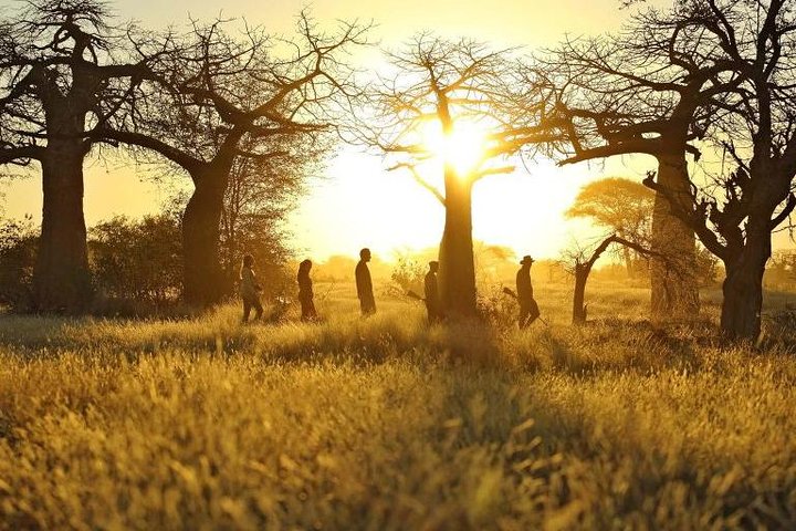 2 Days Mikumi National Park Tour