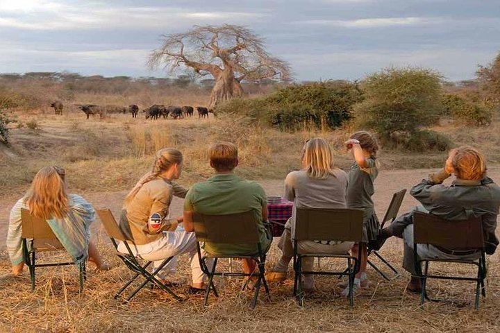 2 Days Mikumi National Park Tour