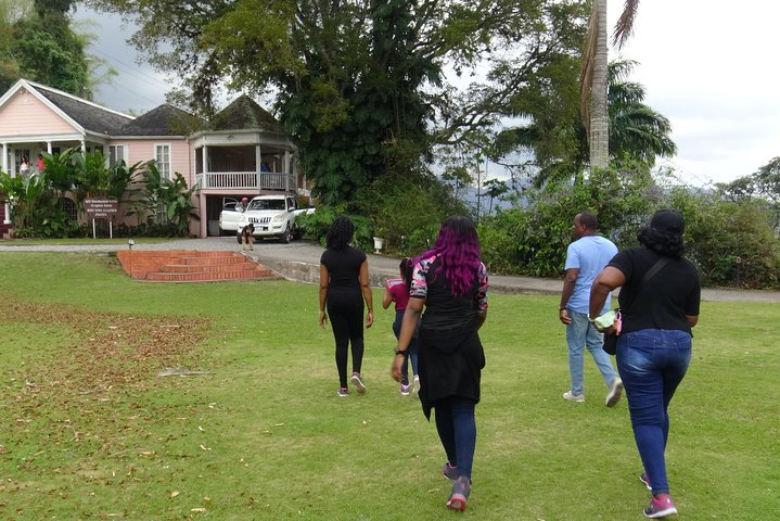 Blue Mountain Coffee and Sightseeing Tour
