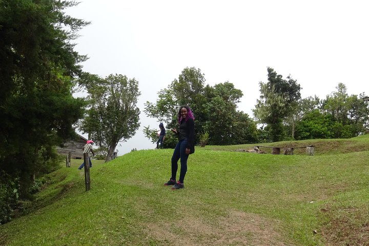 Blue Mountain Coffee and Sightseeing Tour