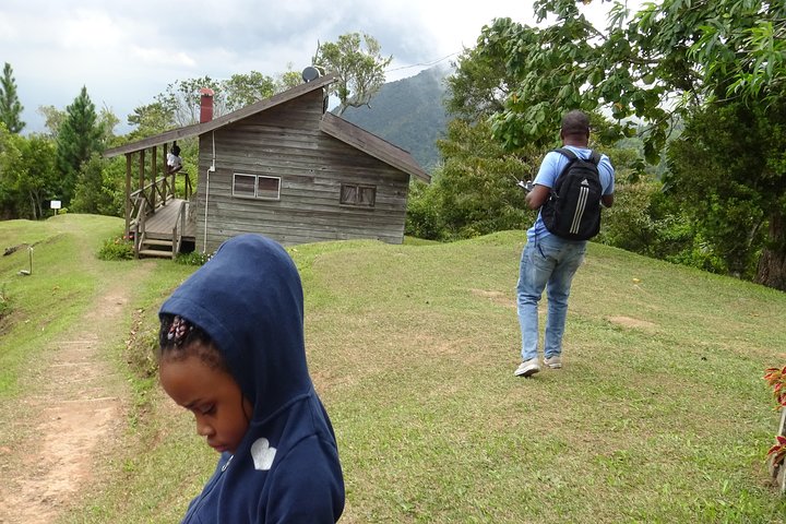 Blue Mountain Coffee and Sightseeing Tour