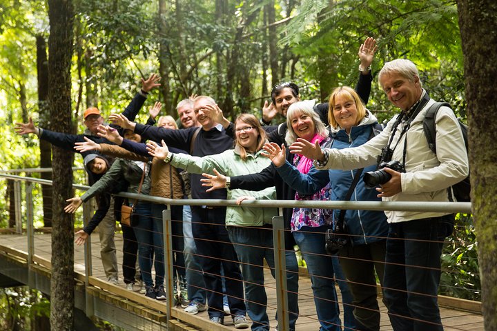 Blue Mountains Small Group All Inclusive with Local Guide