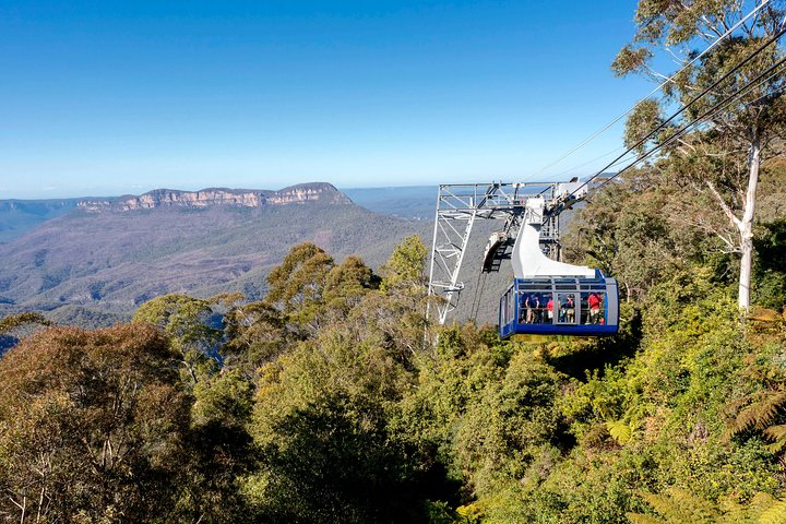 Blue Mountains Small Group All Inclusive with Local Guide
