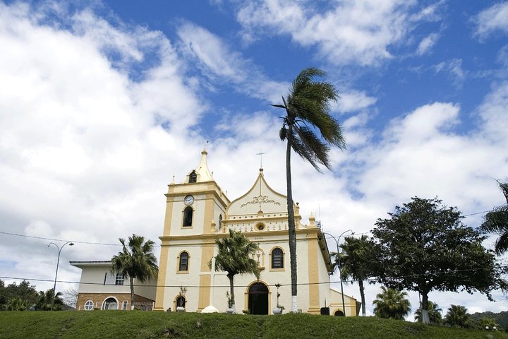 Experience the Best of Curitiba: City Tour Highlights