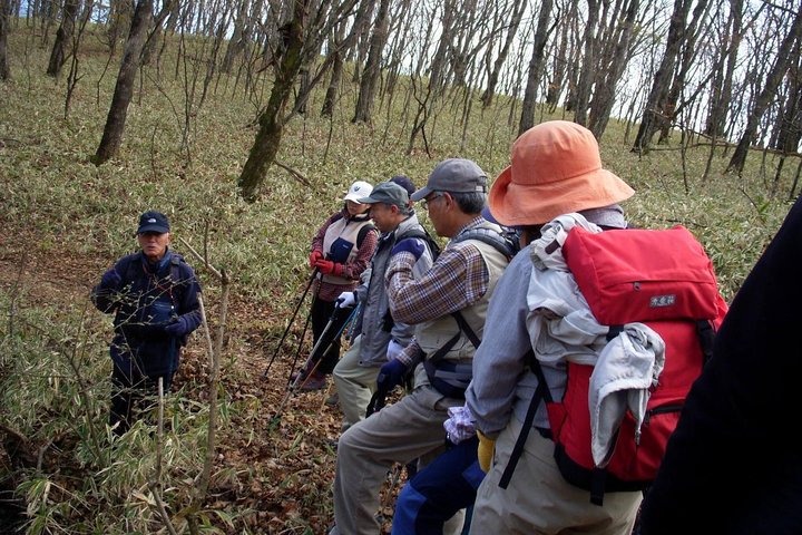 Relax and refresh in Karuizawa Forest! Shinanoji down trekking around two people
