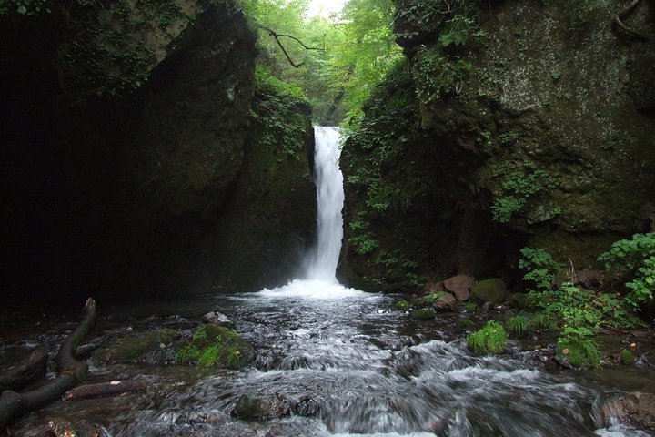 Relax and refresh in Karuizawa Forest! Shinanoji down trekking around two people