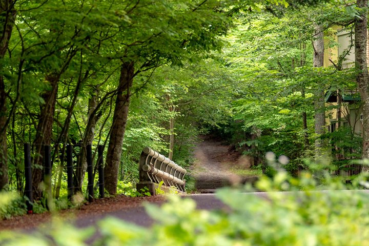 ~Exploring the nature and sightseeing spots of Karuizawa~ Forest bathing cycling