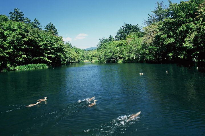 ~Exploring the nature and sightseeing spots of Karuizawa~ Forest bathing cycling