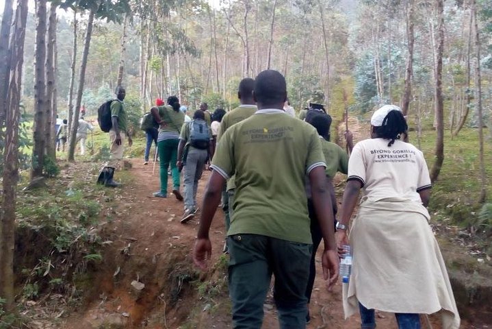 Local hills hiking