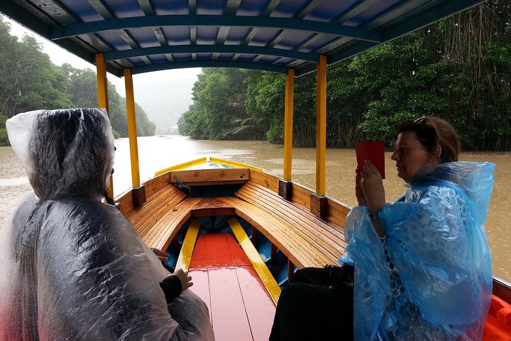 Private Proboscis Monkey Tour