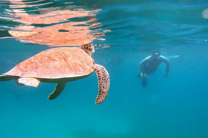Culebra Snorkel with Turtles & Flamenco Beach Adventure by Ferry