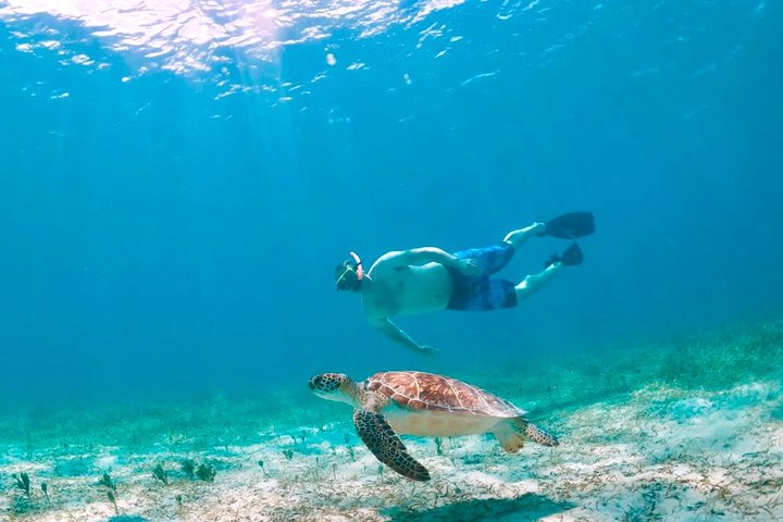 Culebra Snorkel with Turtles & Flamenco Beach Adventure by Ferry