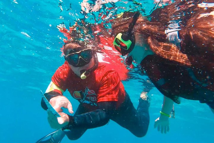 Culebra Snorkel with Turtles & Flamenco Beach Adventure by Ferry