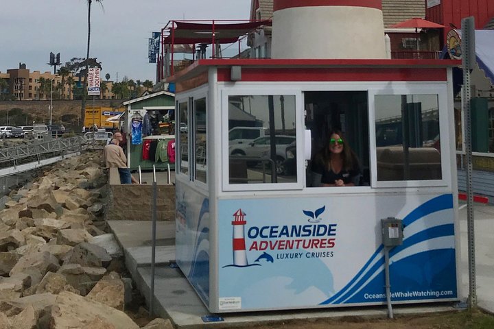 Two-Hour Luxury Whale Watching Tour from Oceanside