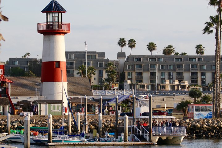 Two-Hour Luxury Whale Watching Tour from Oceanside