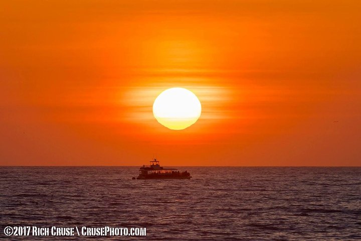 Two-Hour Luxury Whale Watching Tour from Oceanside