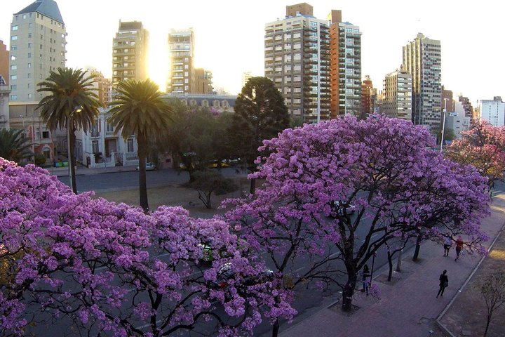 Cordoba City Tour with Optional Jesuitic Square