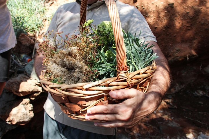 Authentic Greek Cooking & Foraging Experience in Syros with Maria