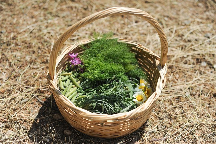 Authentic Greek Cooking & Foraging Experience in Syros with Maria