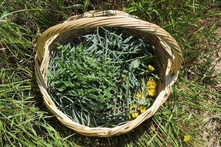 Authentic Greek Cooking & Foraging Experience in Syros with Maria