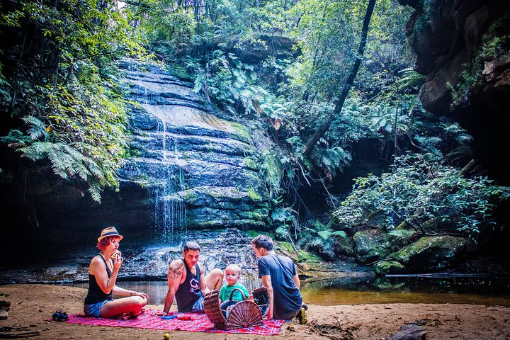 Blue Mountains Hop On Hop Off Tour