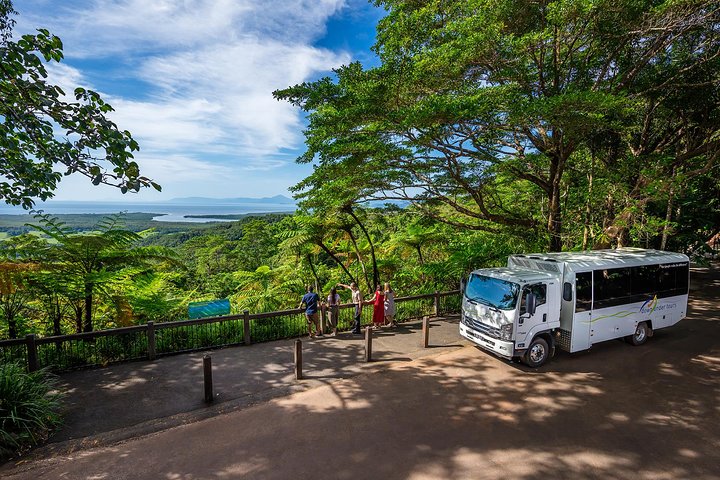 Daintree Rainforest and Cape Tribulation Day Tour from Cairns