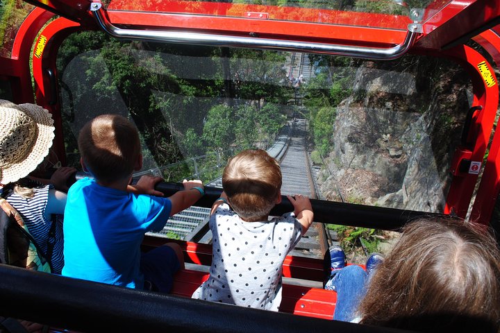 Blue Mountains Hop On Hop Off Tour