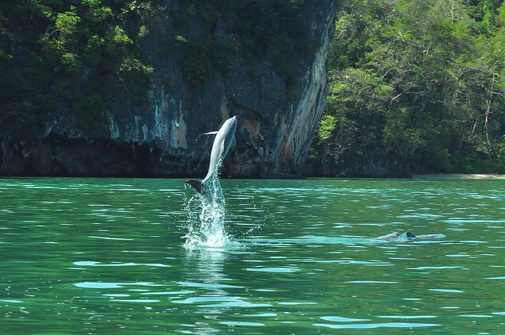 6 Hours Sharing Basis Kilim Mangrove Safari Boat Tour in Langkawi