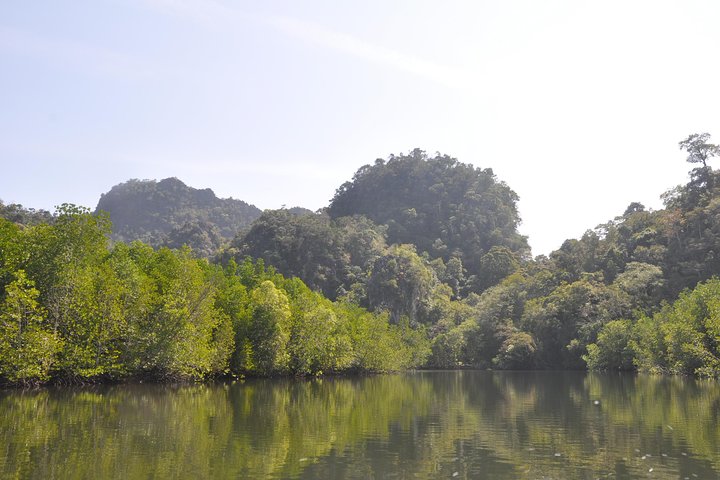6 Hours Sharing Basis Kilim Mangrove Safari Boat Tour in Langkawi